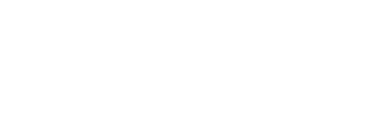 Vaultree logo white